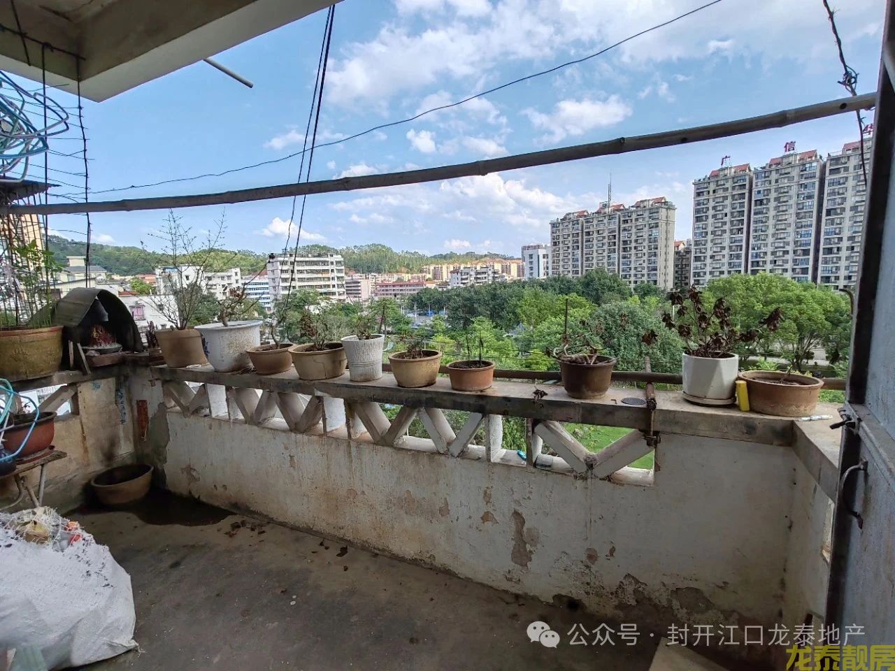 河南城区步梯三房总价仅9万元