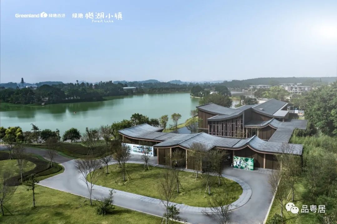 绿地樾湖小镇(图7)